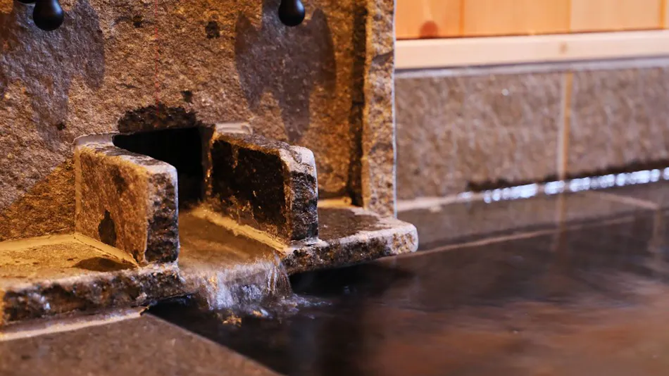 Tokugawa's Inner Retreat Kunou Inn <LIBERTY RESORT>