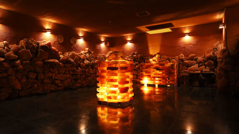 Tokugawa's Inner Retreat Kunou Inn <LIBERTY RESORT>