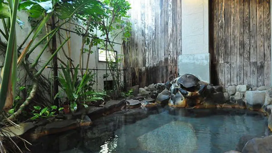 Ryokan Tsukimi-so