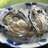 Musim dingin adalah musim tiram.
