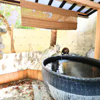 개방적인 노천탕