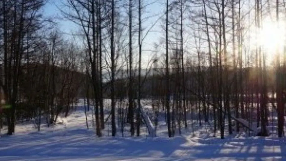 Ituka Furano e