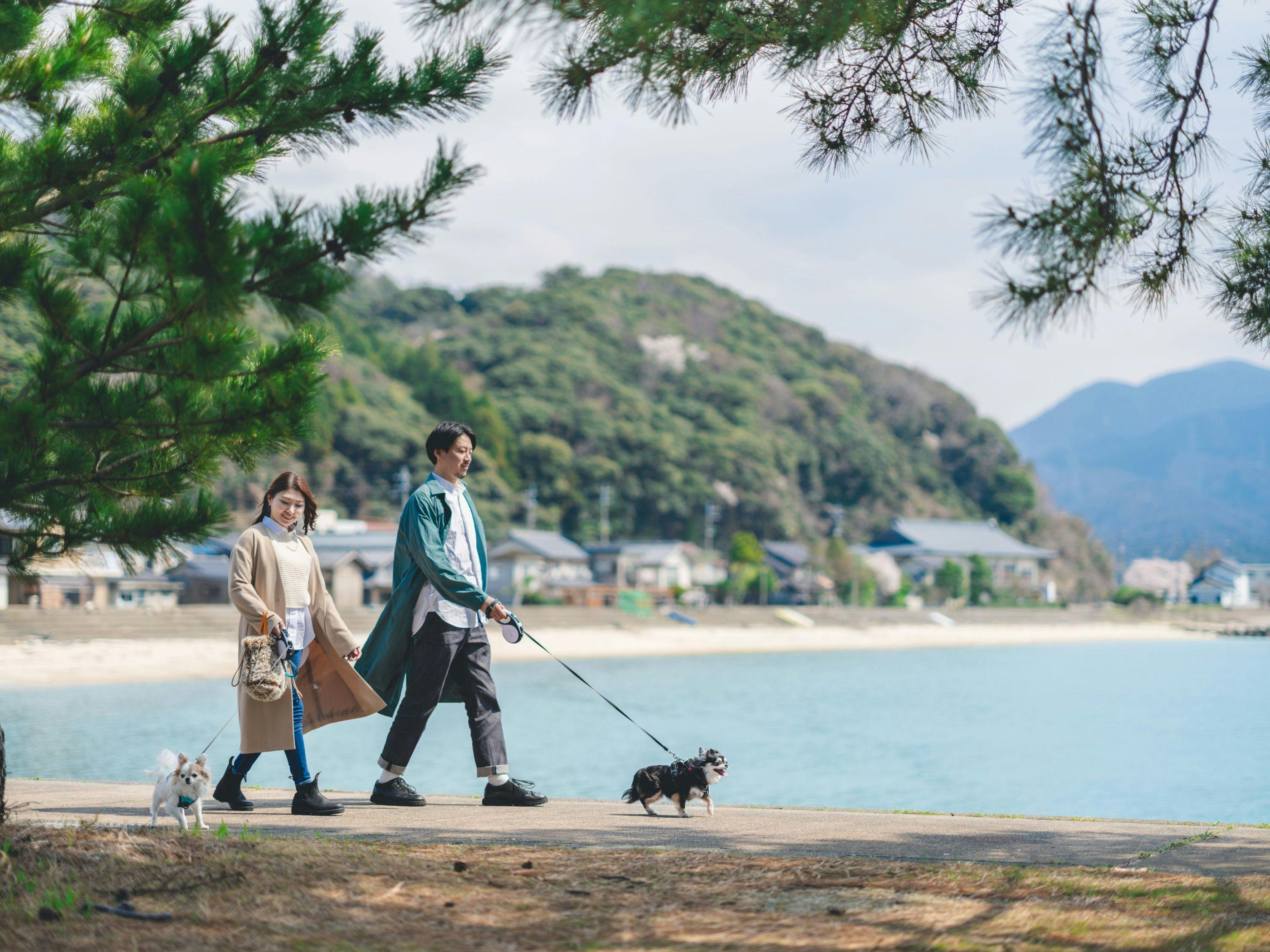 ท่องเที่ยวกับน้องหมา