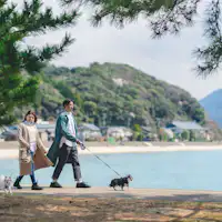 ท่องเที่ยวกับน้องหมา