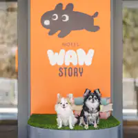 ถ่ายภาพกับสุนัขที่คุณรัก