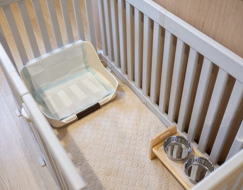 ペットサークル