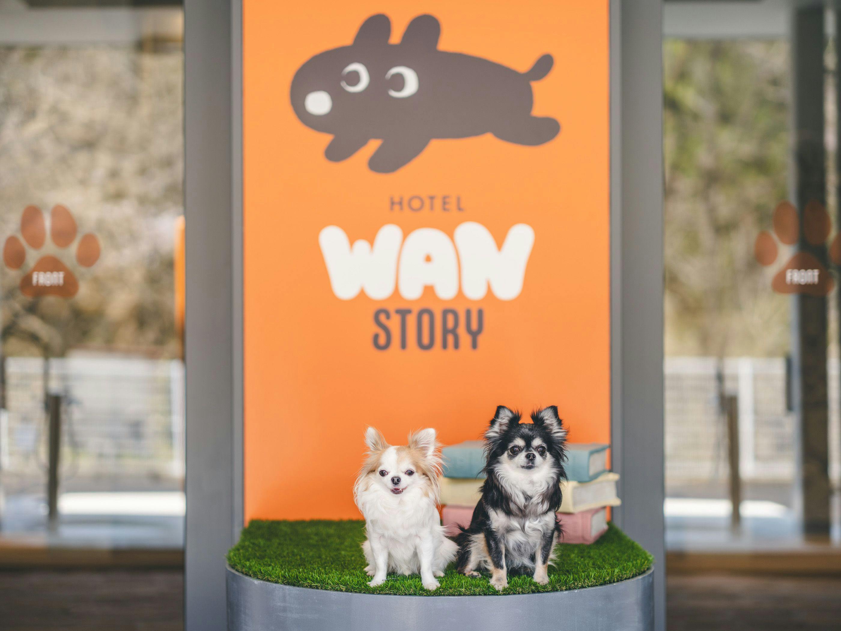 โรงแรมที่เป็นมิตรกับสุนัข