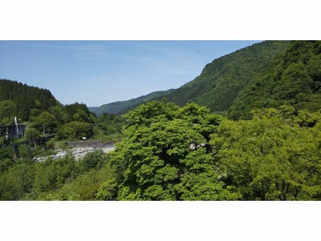 Green View Tateyama