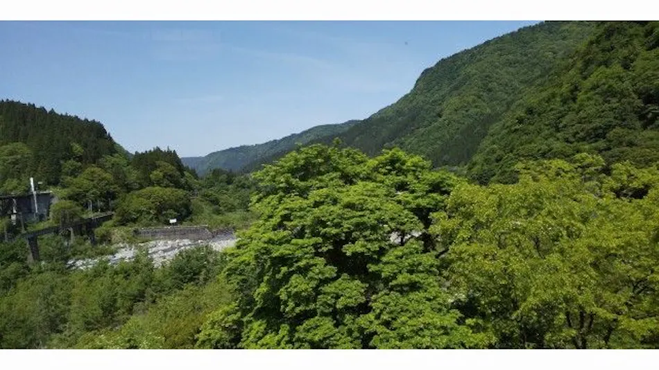Green View Tateyama