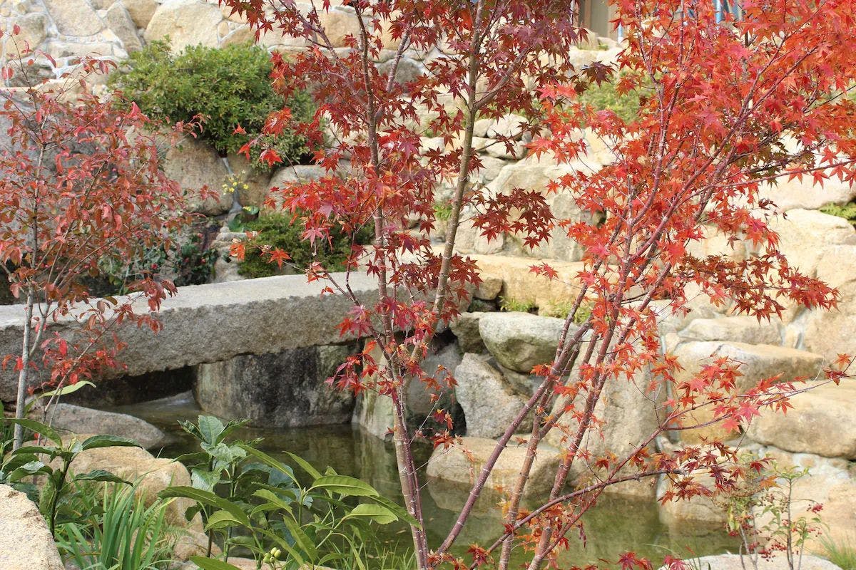 Miyajima Villa Hatago Sakura