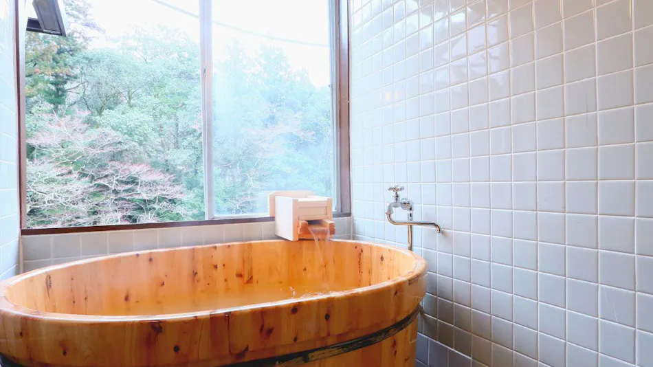 Yuya Onsen Ryosou Mitsui