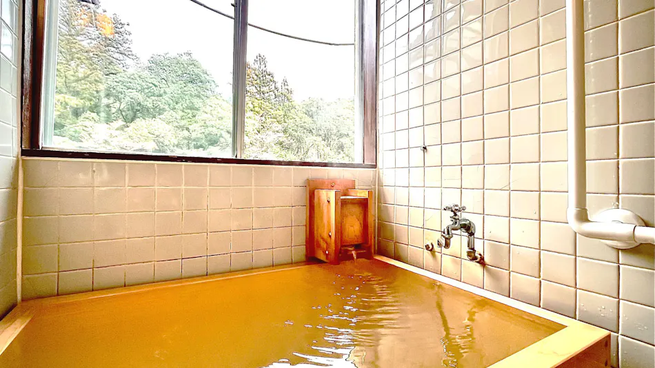Yuya Onsen Ryosou Mitsui