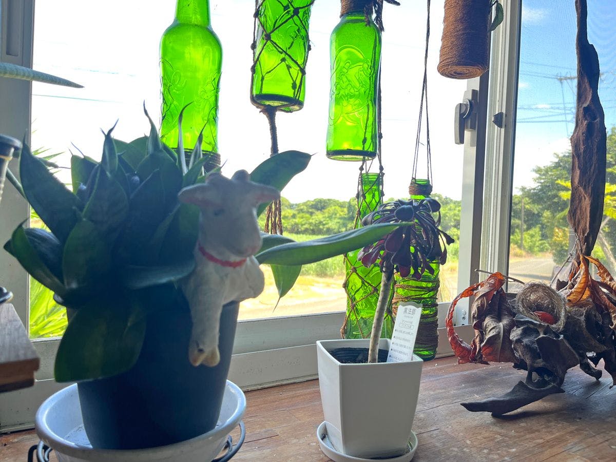 Tokunoshima Guesthouse Michi