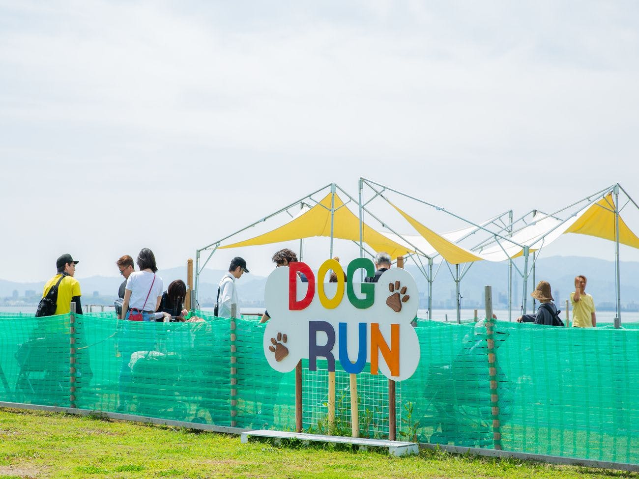 สนามวิ่งสุนัขริมทะเลที่โปร่งโล่งและเปิดกว้าง