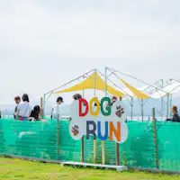 สนามวิ่งสุนัขริมทะเลที่โปร่งโล่งและเปิดกว้าง