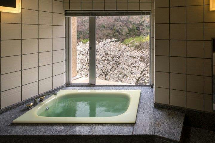 Hakone Yumoto Onsen Hotel Okuyumoto