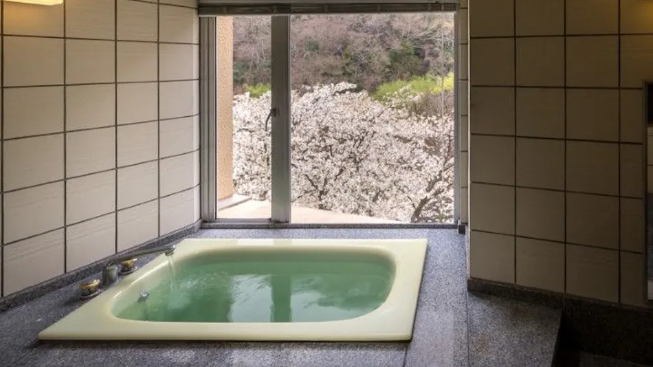 Hakone Yumoto Onsen Hotel Okuyumoto