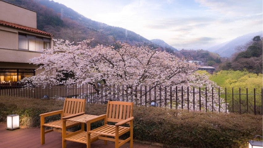 Hakone Yumoto Onsen Hotel Okuyumoto