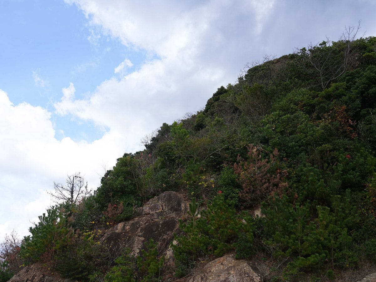 KURASU BASE Setogashima