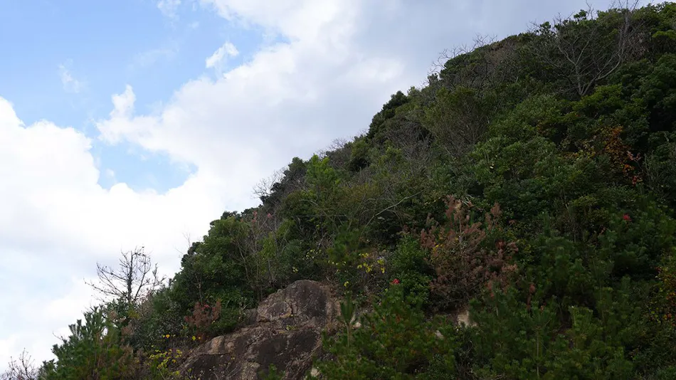 KURASU BASE Setogashima