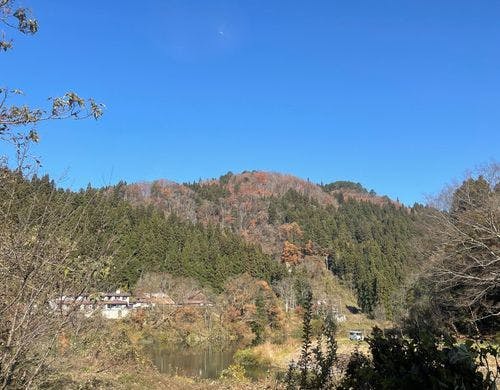 お部屋からの眺め