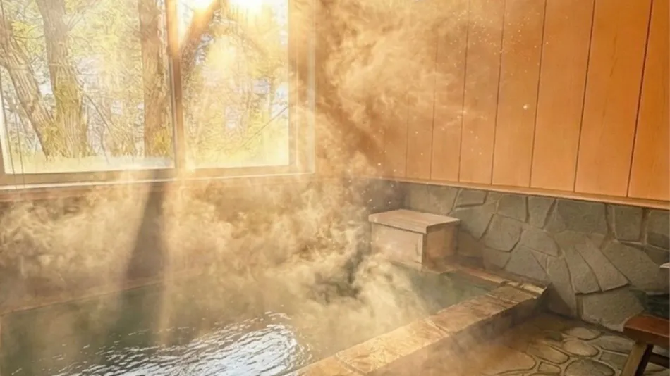 THE HIDEOUT VILLA KUSATSU