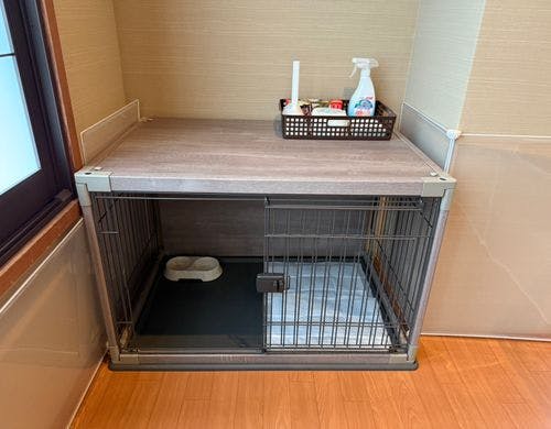 客室内ではフロアマット上でお過ごしください