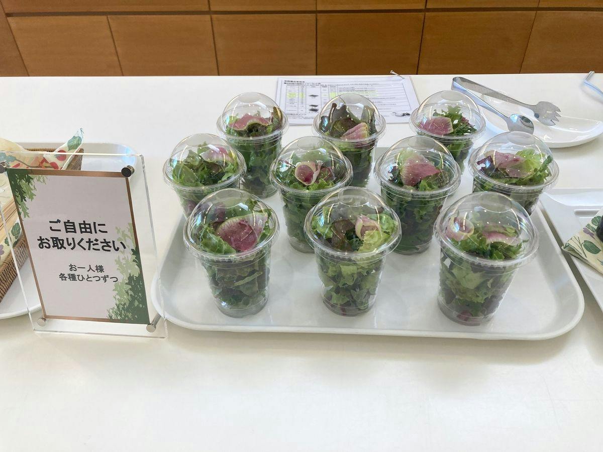Arsoa Megami no Mori - Beauty Wellness Retreat
