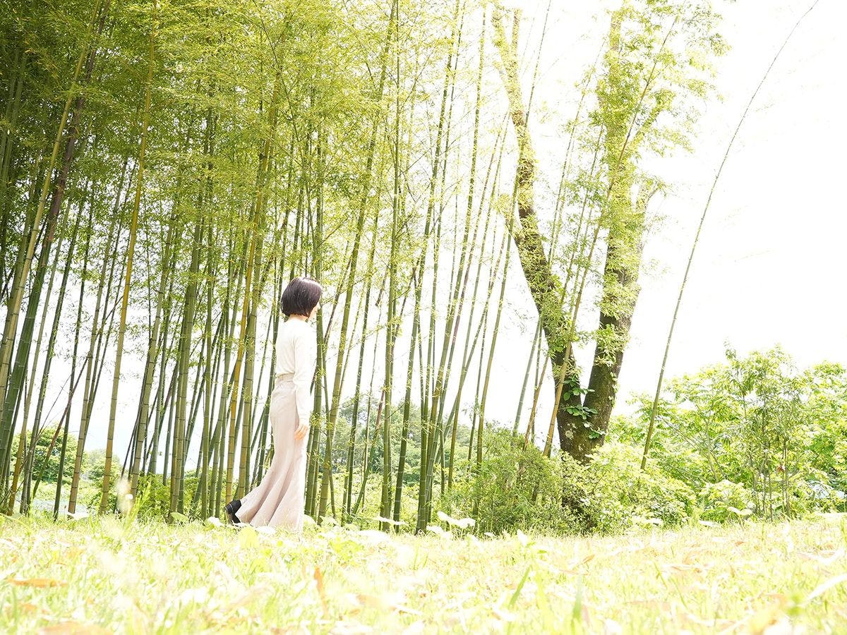 Arsoa Megami no Mori - Beauty Wellness Retreat