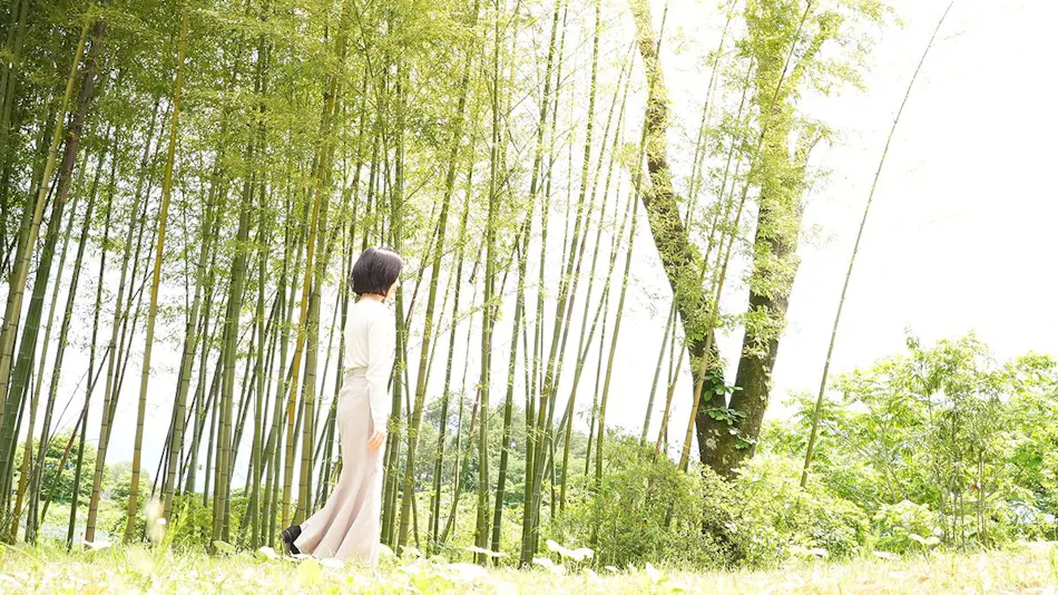 Arsoa Megami no Mori - Beauty Wellness Retreat
