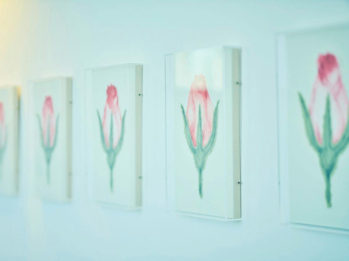 Arsoa Megami no Mori - Beauty Wellness Retreat