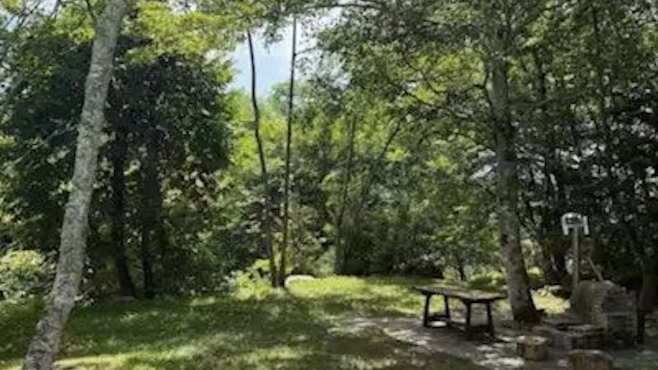 Private LOGCABIN CUE Iizuna