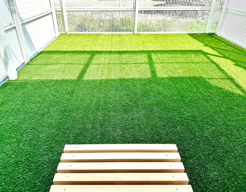 ドッグラン兼猫庭