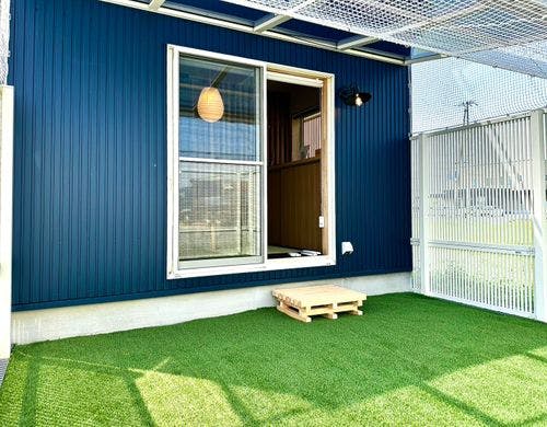 ドッグラン兼猫庭