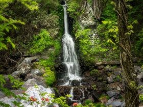 リブマックスリゾート川俣温泉