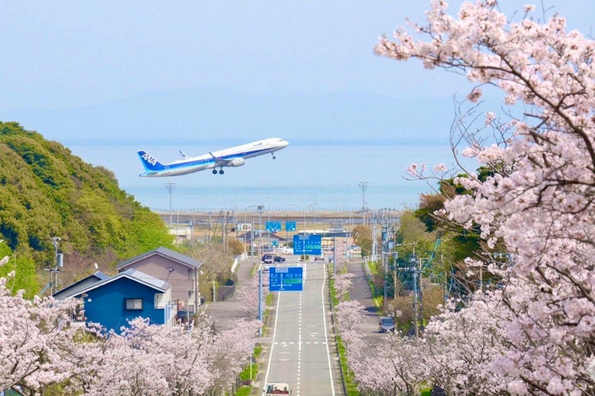 จุดชมวิวสุดสวย “เนินซากุระสนามบิน” ใกล้ที่พักของเรา