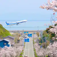 จุดชมวิวสุดสวย “เนินซากุระสนามบิน” ใกล้ที่พักของเรา