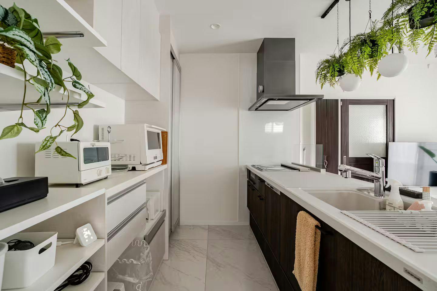 Dual Life House Koza