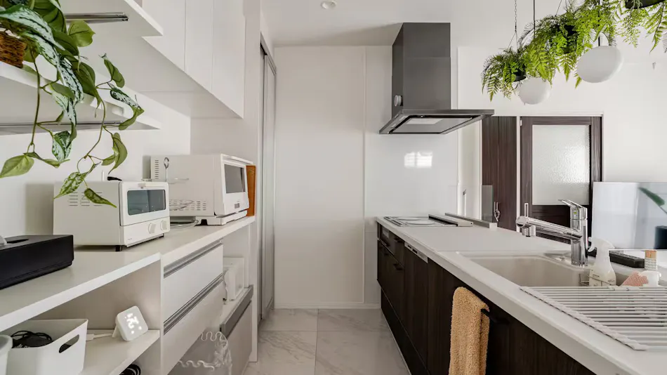 Dual Life House Koza