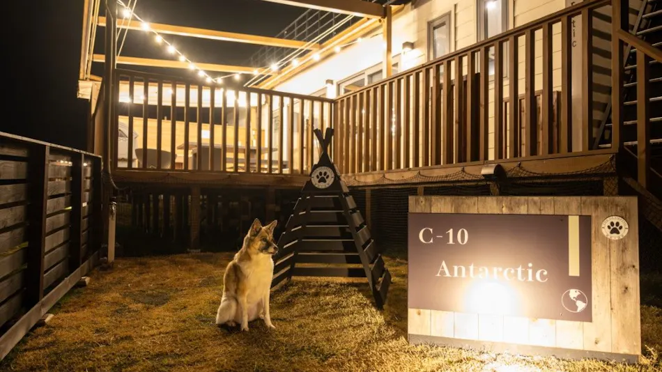 THE GLAMPING Hakone Jukkokutoge