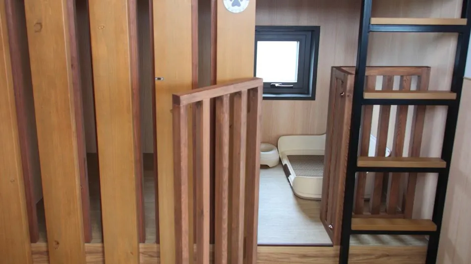 THE GLAMPING Hakone Jukkokutoge