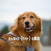 เข้าพักพร้อมสุนัข 1 ตัว