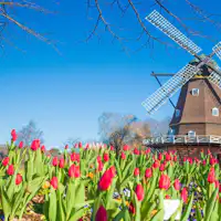 สวนอันเดอร์เซน เมืองฟุนาบาชิ