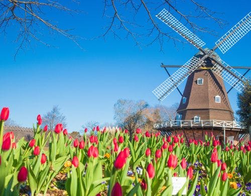 ふなばしアンデルセン公園