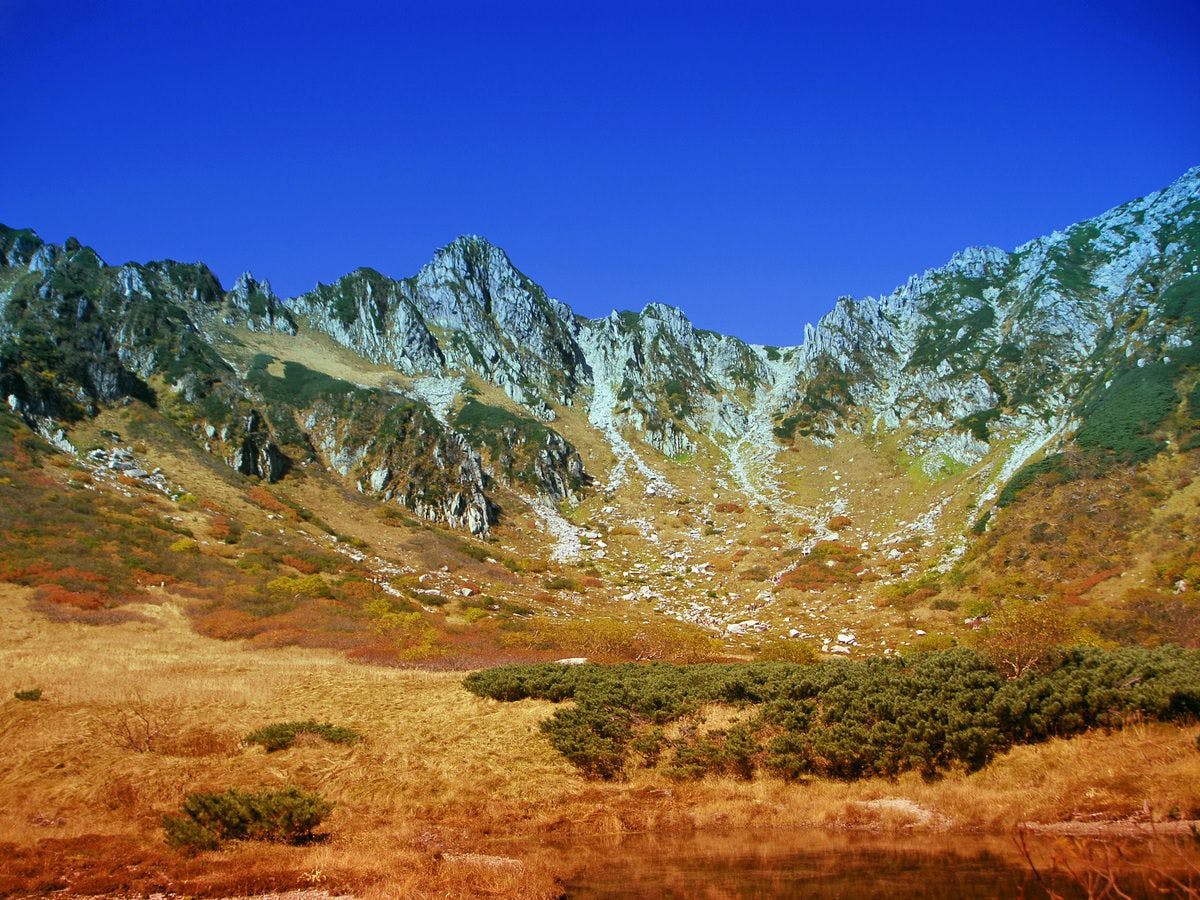 ปลายเดือนตุลาคม ใบไม้เปลี่ยนสีที่เซ็นโจจิกิคาร์ล