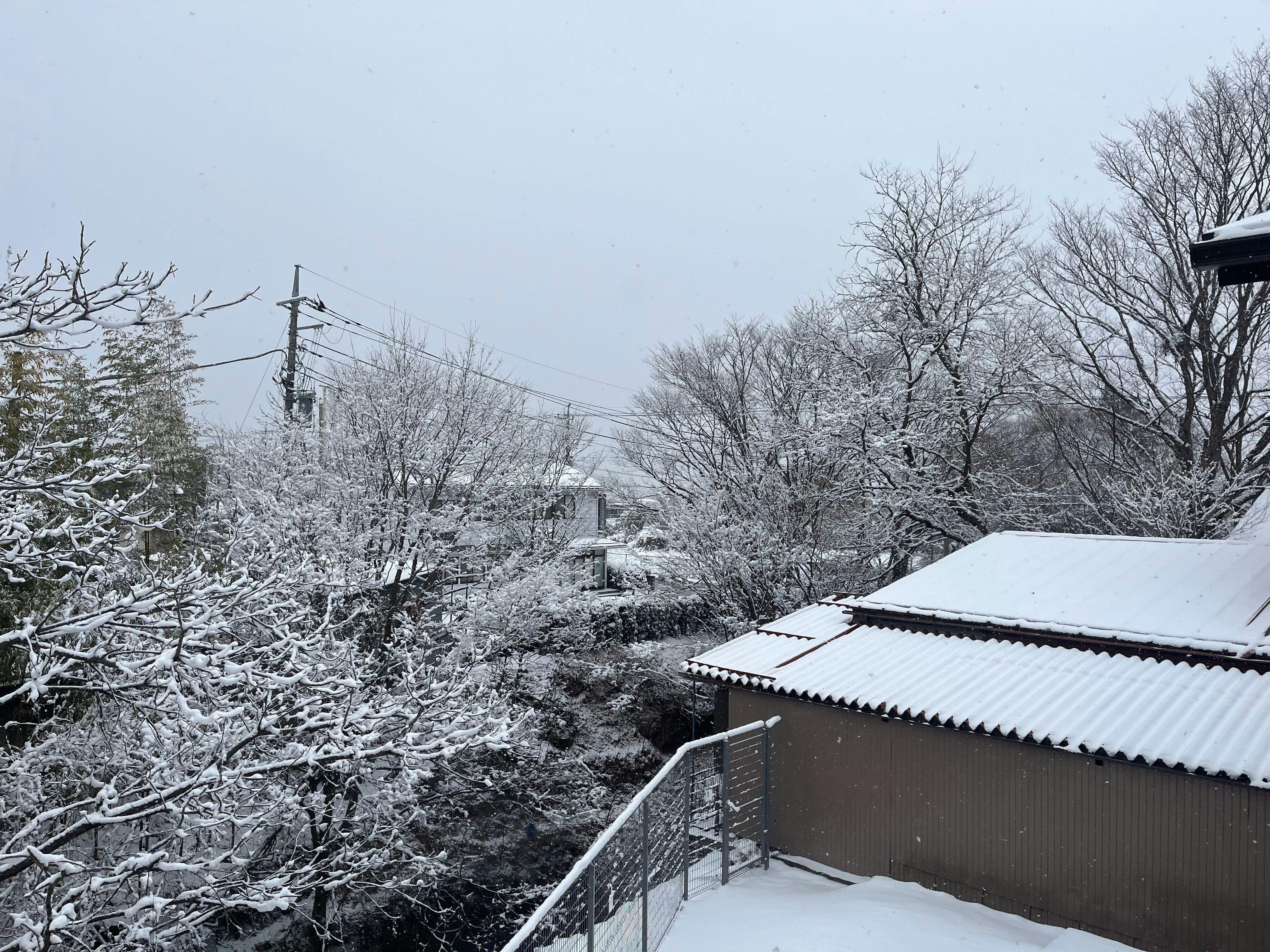 Fuji Mason’s Villa