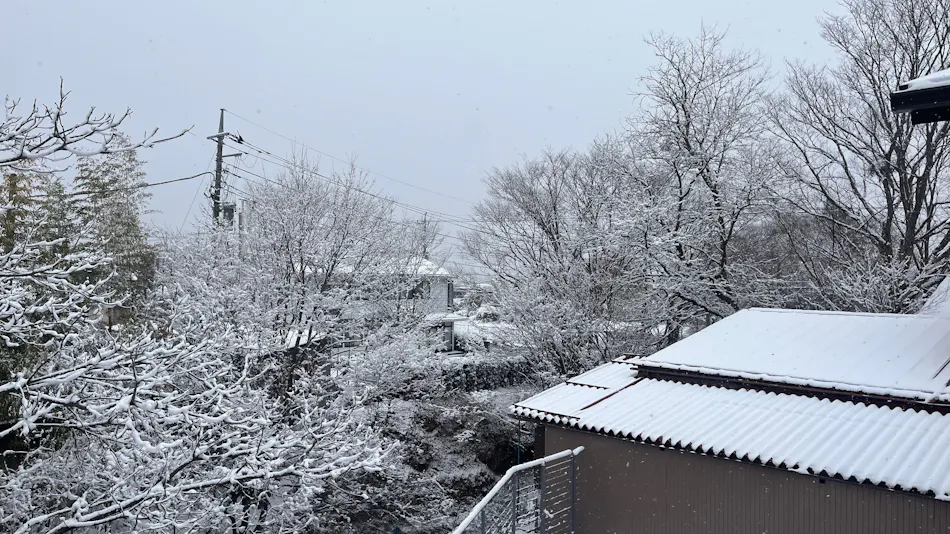 Fuji Mason’s Villa