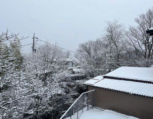 雪の景観