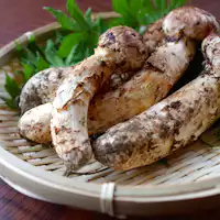 秋季限定的馥郁松茸香氣