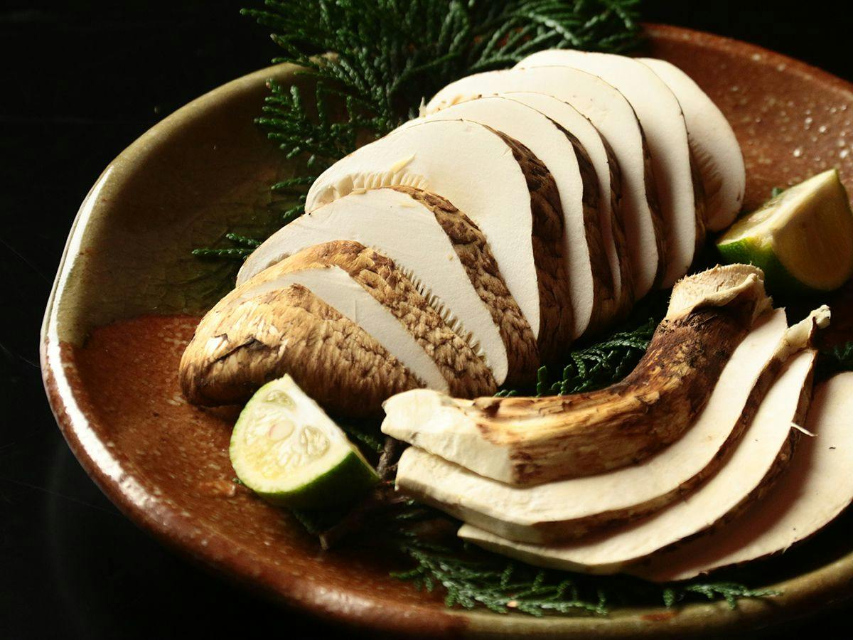 Toyasa
